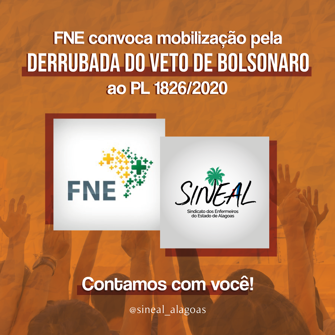 FNE convoca mobilização pela derrubada do veto de Bolsonaro ao PL 1826/2020